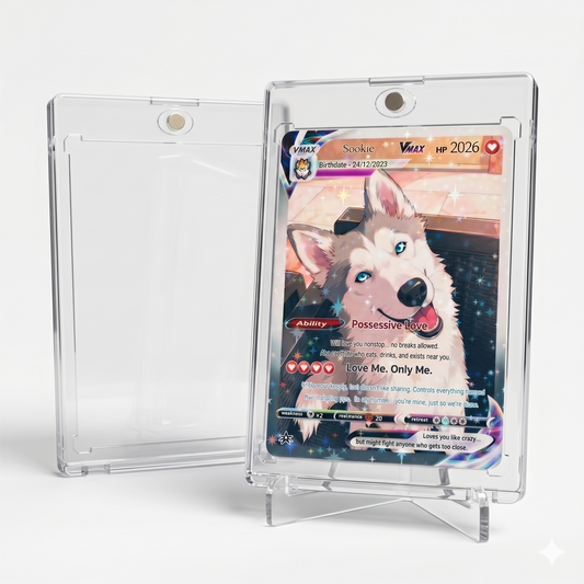 Premium Acrylic Display Case